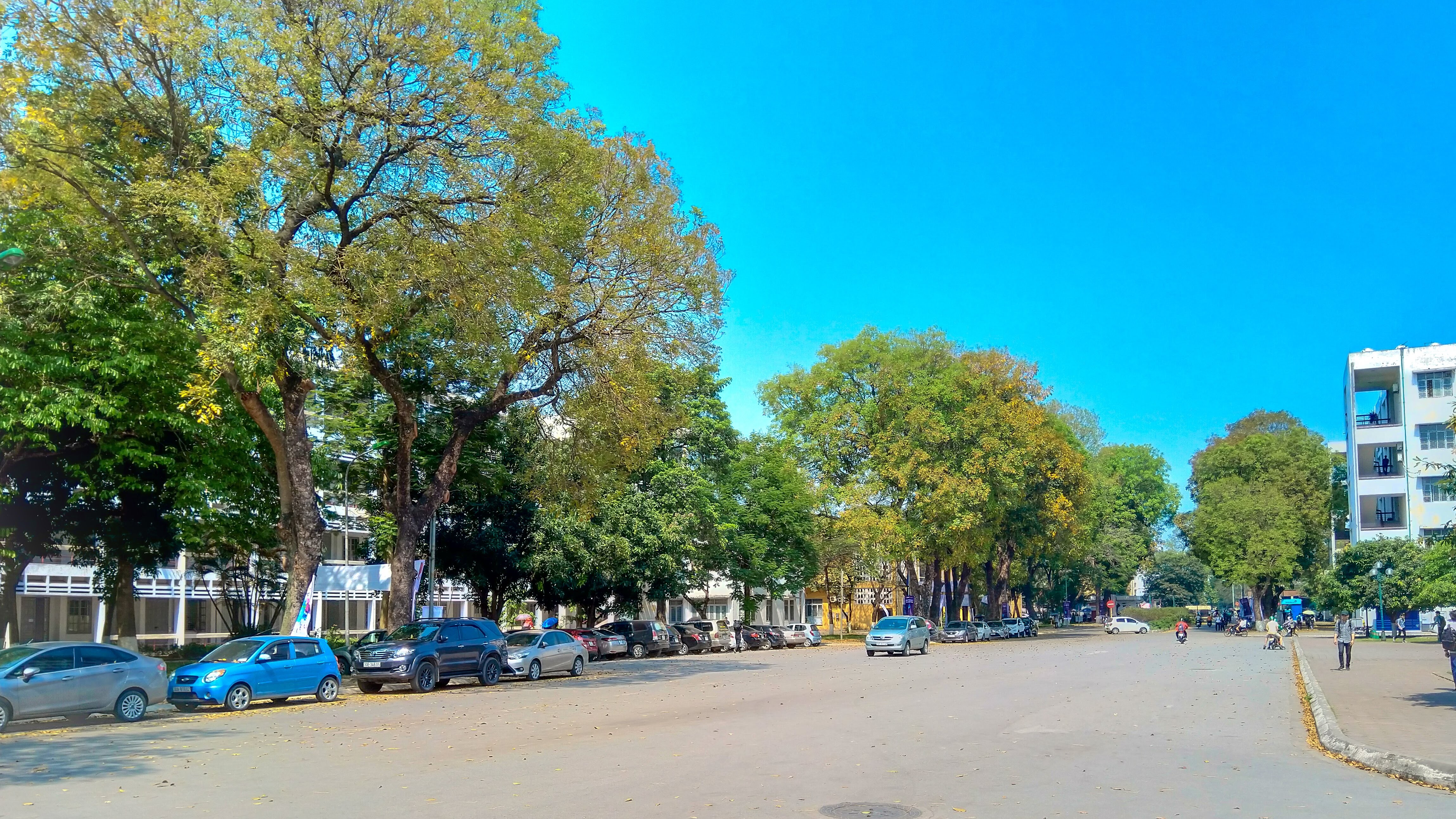 Cây xanh và các tòa nhà trong khuôn viên Đại học Bách khoa Hà Nội